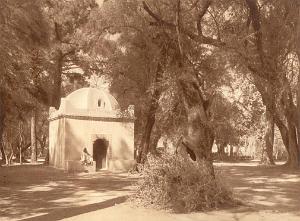 ALGER 000053 LE BOIS SACRE ET LE MARABOUT DE SIDI YAKOUB